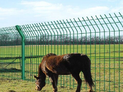 养殖围栏网 - 桐乡茂通贸易有限公司图片3